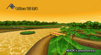 DK's Jungle Parkway.png
