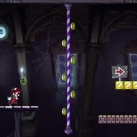NSMBU Screenshot Pole.jpg