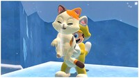 Kitten scratching.jpg