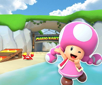 MKT Icon KoopaTroopaBeachN64 Toadette.png