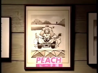 PeachSMKStorePromo.png