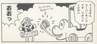 Super Matsutake Mushroom SMWMOG.jpg