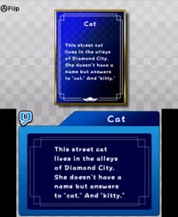 Cat Bio (C).jpg