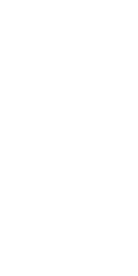 Flower Cup (World).png