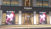 MKWorld Birdo Jewelry.jpg