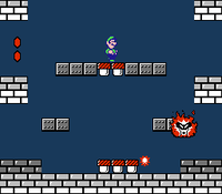 SMB2 Fry Guy Screenshot.png