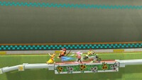 SSB4 Mario Circuit Flowerbed.jpg