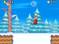 5-1 NSMB.png