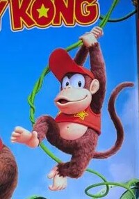 Diddy Vine Swing artwork.jpg