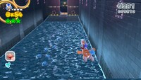 SM3DW Plessie Jumping.jpg