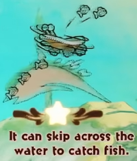 YATMB SnurfboardHabitat Itcanskipacrossthewatertocatchfish.png