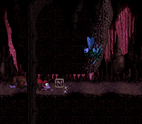 Bouncy Bonanza 7.png