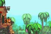 DKC GBA DK Treehouse.png