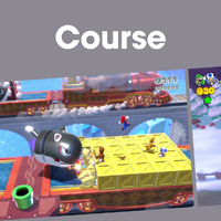 NM SM3DW+BF Courses PL JP.png