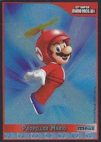 NSMBWiiTC-F23-Front.png