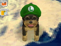 Nintendogs Luigi Hat.png