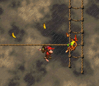Topsail Trouble DKC2 Klinger.png