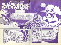 Chapter 4 SMW9.jpg