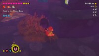 DKB Forest Hiddentone 4.jpg