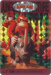 DKC Card 1.jpg