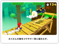 SM3DL ss9.png