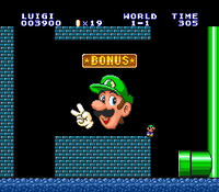 SMAS SMB Luigi Bonus Area.png