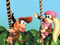 Diddydixie5.jpg