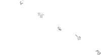 Drill Rally Tracks.png