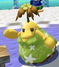 Female Yellow Pianta SMS Screenshot.jpg