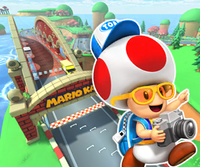 MKT Icon MushroomBridgeRGCN ToadTourist.png