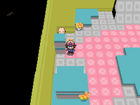 HiddenPolygon.png