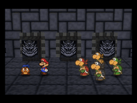 Jr. Troopa Defeat Koopa Bros.gif
