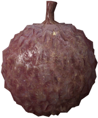 Lychee (DKJB).png