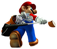 ToadstoolTour MarioScan.png