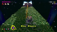 DKB Shadow-Path Finish Line.jpg