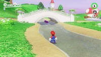 Mushroom Kingdom Coins N.jpg
