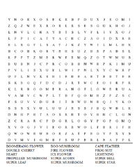 Word Search 117.png