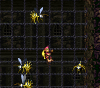 DKC2 ChainLinkChamber.png