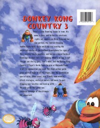 DKC3 NP guide back.jpg
