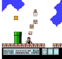InvincibleGlitchSMB3.png