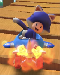 MKT Cat Toad Trick2.png