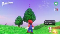 Mushroom Kingdom Coins Z.jpg