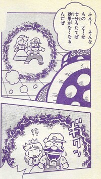 Egg Barrier SMW9.jpg