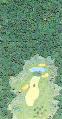 Golf JC Hole 4 art.png