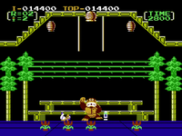NM DK3 Player Down.png