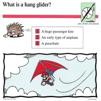 Hang glider quiz card.jpg