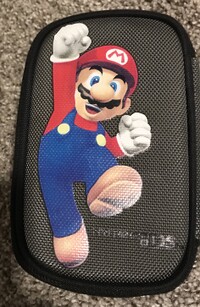Super Mario DS Case.jpg