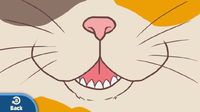 G&W Prize Disguises Cat.png