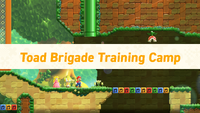 NM SMBW Training Lets Go.png