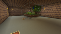 BuildingTheShroomHQ-DirectorsOffice2.png
